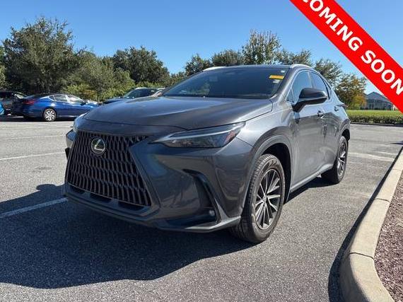 LEXUS NX 2022 2T2ADCAZ4NC001264 image