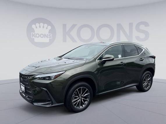 LEXUS NX 2022 2T2AGCEZXNC004929 image
