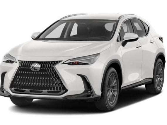 LEXUS NX 2022 JTJADCAZXN5000926 image