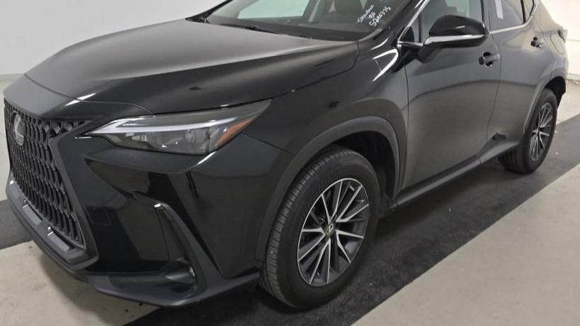 LEXUS NX 2022 2T2GDCAZ2NC002827 image