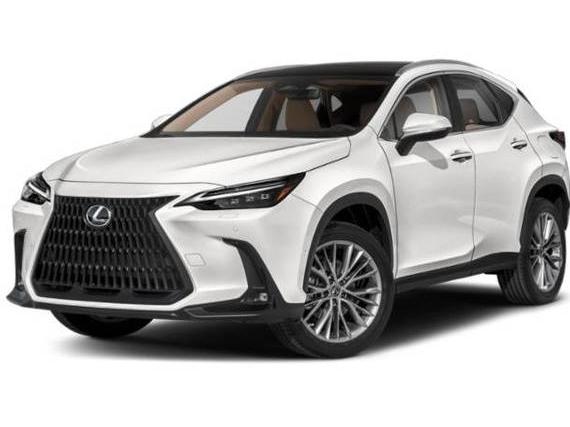 LEXUS NX 2022 JTJHKCEZ2N2004100 image