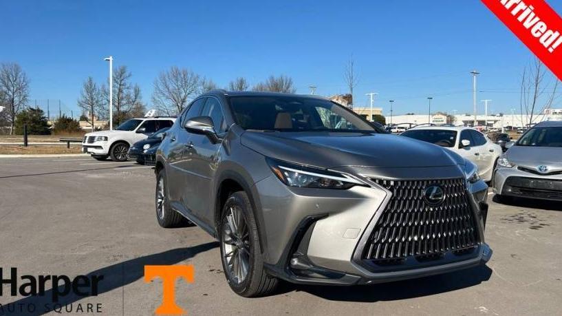 LEXUS NX 2022 2T2GGCEZ2NC001873 image