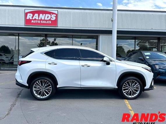 LEXUS NX 2022 JTJGGCEZ4N5003509 image
