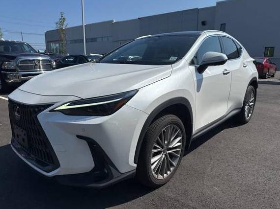 LEXUS NX 2022 JTJHKCEZ2N2007370 image
