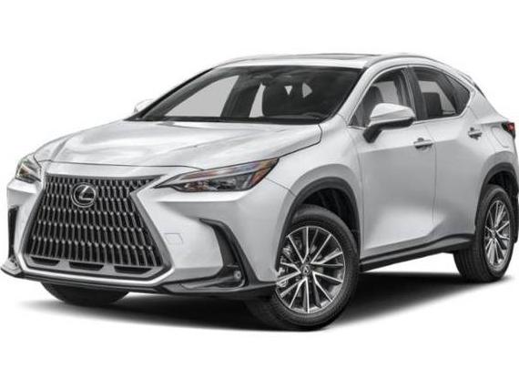 LEXUS NX 2022 JTJAKCEZXN2004248 image