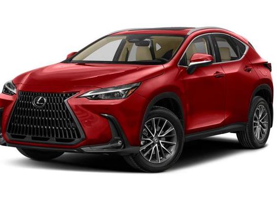 LEXUS NX 2022 2T2GGCEZ5NC003763 image