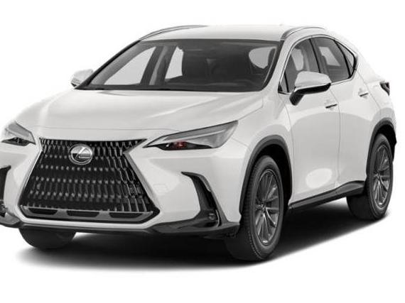 LEXUS NX 2022 JTJADCEZ8N2000130 image