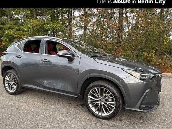 LEXUS NX 2022 2T2GKCEZ7NC004833 image