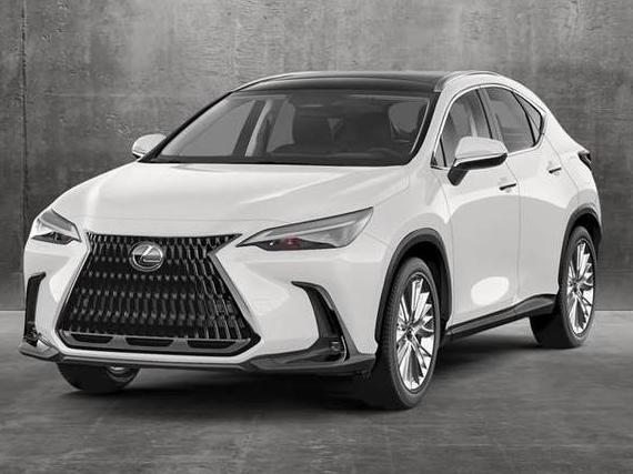 LEXUS NX 2022 2T2AKCEZ8NC003261 image