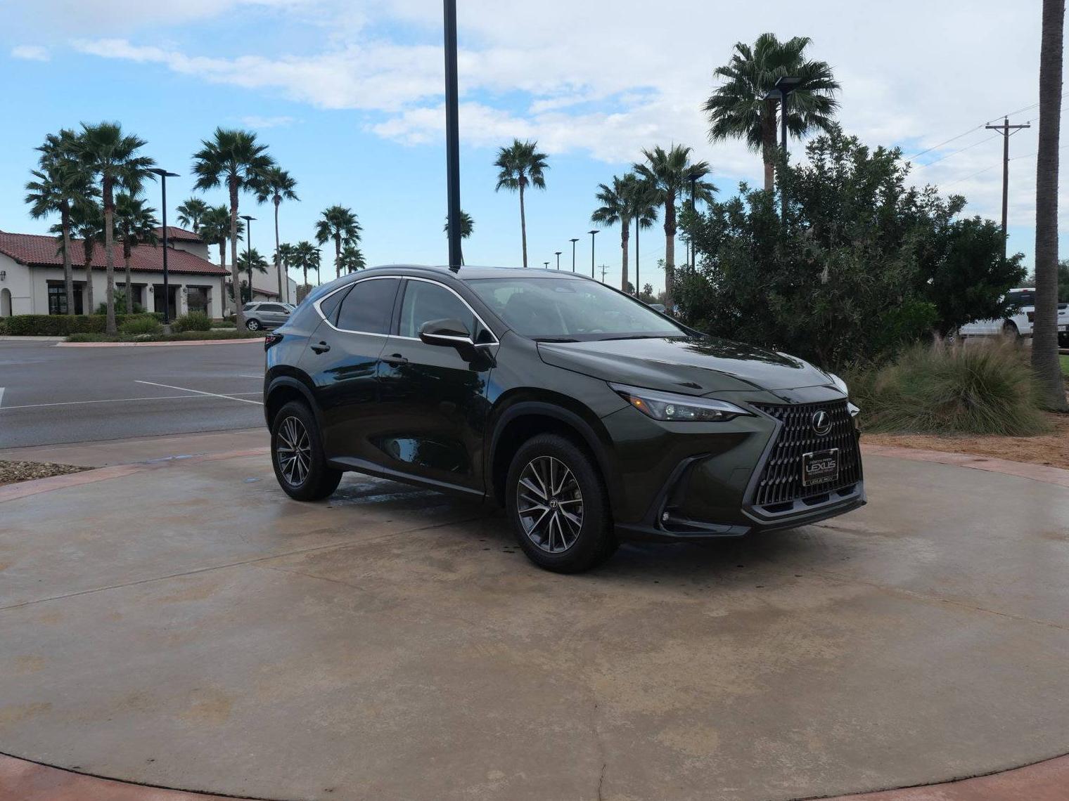 LEXUS NX 2022 2T2GDCAZ6NC002894 image