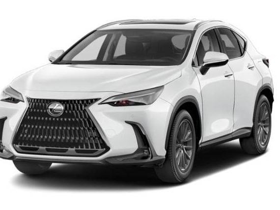 LEXUS NX 2022 JTJHKCFZ5N2005157 image