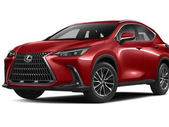 LEXUS NX 2022 2T2GGCEZ8NC013266 image