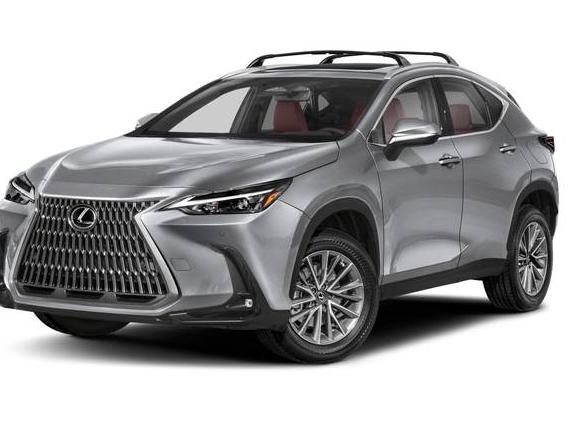 LEXUS NX 2025 2T2GGCEZ5SC083898 image