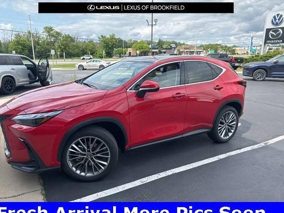 LEXUS NX 2025 JTJHKCEZ1S2058502 image