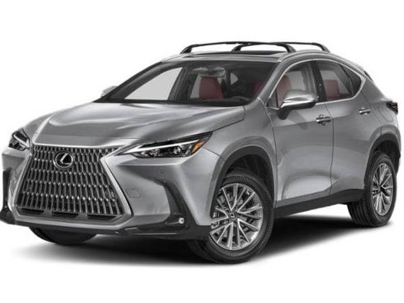 LEXUS NX 2025 2T2GGCEZ0SC070234 image