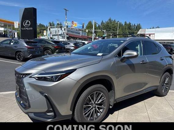 LEXUS NX 2025 2T2ADCEZ5SC006432 image