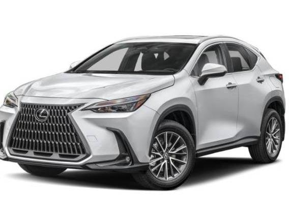 LEXUS NX 2025 JTJGKCEZ9S2048568 image