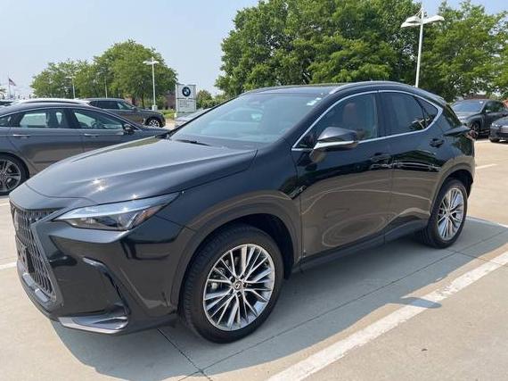 LEXUS NX 2025 2T2GGCEZ7SC068237 image