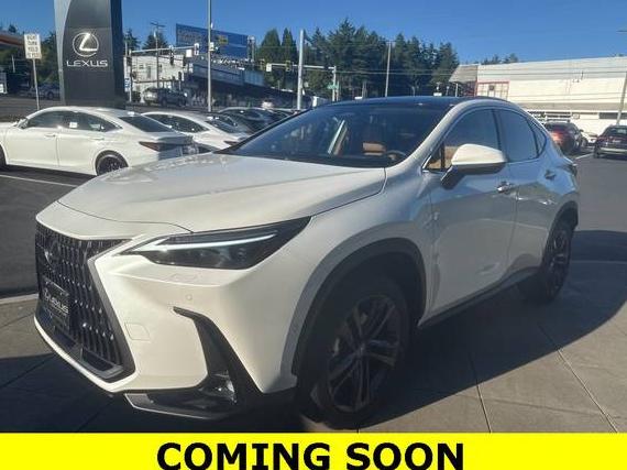 LEXUS NX 2025 JTJHKCFZ2S2064954 image