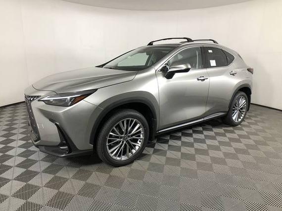 LEXUS NX 2025 JTJGKCEZ0S5037084 image