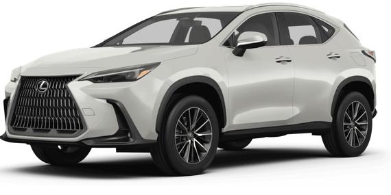 LEXUS NX 2025 JTJGKCEZ9S5031719 image