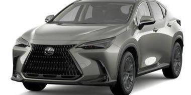 LEXUS NX 2025 2T2GDCAZ9SC017692 image