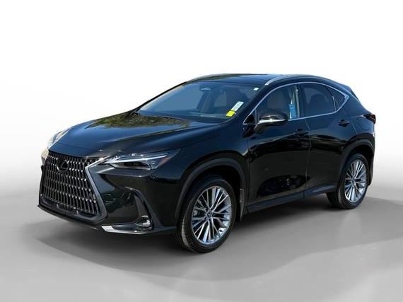 LEXUS NX 2025 2T2HGCEZ1SC061790 image