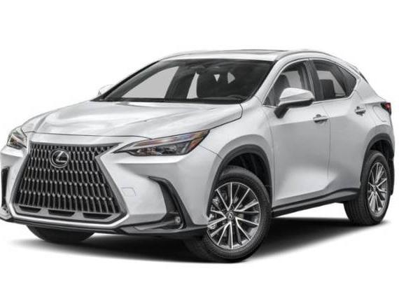 LEXUS NX 2025 JTJGKCEZ5S2048096 image