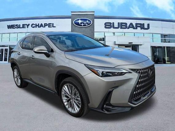 LEXUS NX 2025 2T2GGCEZ0SC084019 image LEXUS NX 2025 2T2GGCEZ0SC084019 image