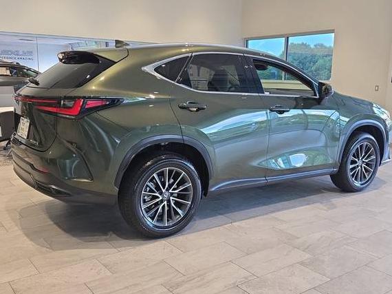 LEXUS NX 2025 2T2GDCAZ4SC023979 image