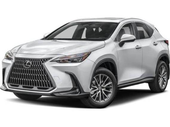 LEXUS NX 2025 JTJGKCEZ8S5027578 image