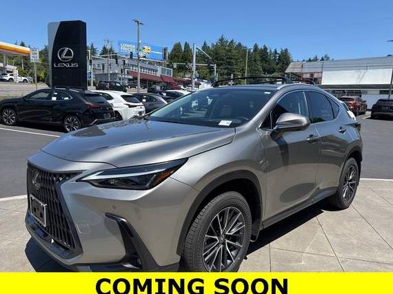 LEXUS NX 2025 2T2GKCEZ6SC037446 image