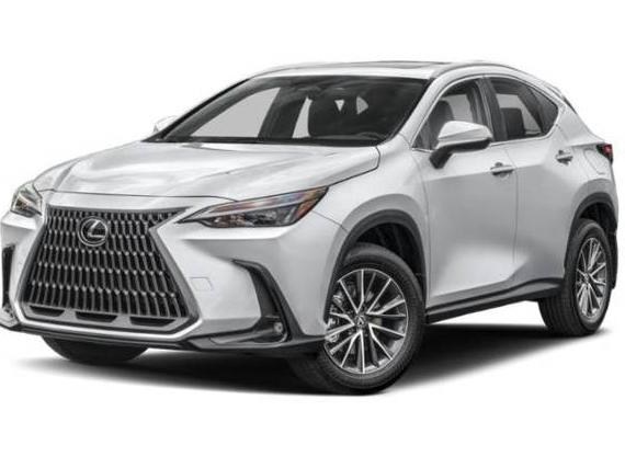 LEXUS NX 2025 2T2GKCEZ9SC038865 image