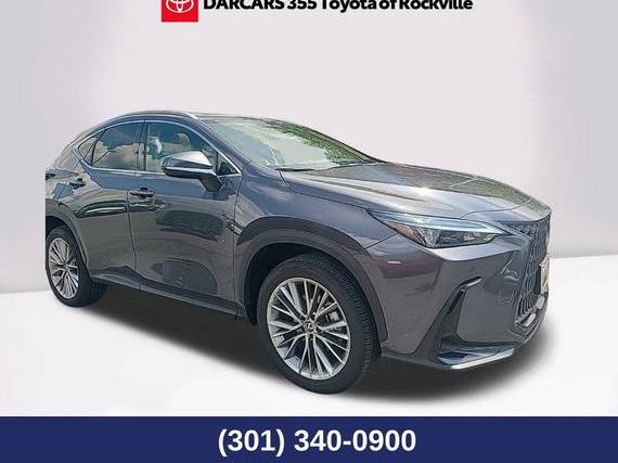 LEXUS NX 2025 2T2GKCEZ2SC032065 image