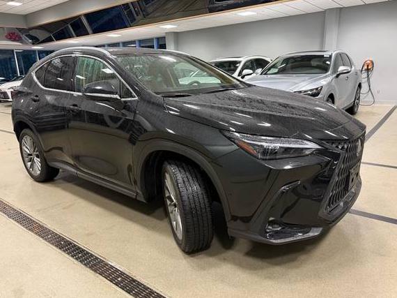 LEXUS NX 2025 2T2HGCEZXSC093766 image LEXUS NX 2025 2T2HGCEZXSC093766 image
