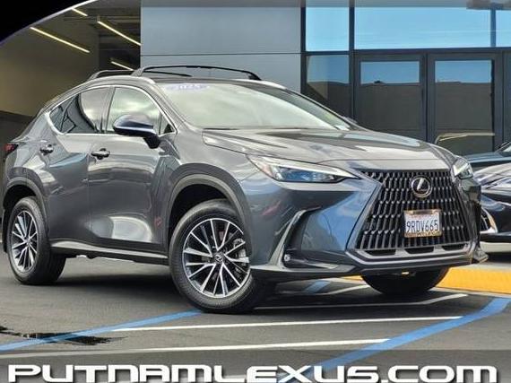 LEXUS NX 2025 JTJGKCEZ3S5031022 image