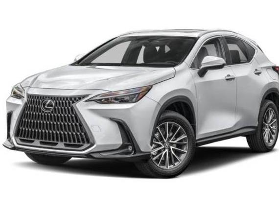 LEXUS NX 2025 JTJGKCEZ8S5033820 image