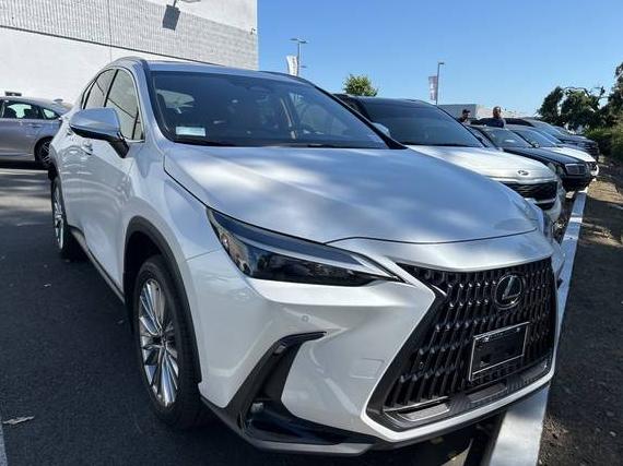 LEXUS NX 2025 JTJGGCEZ2S5011684 image