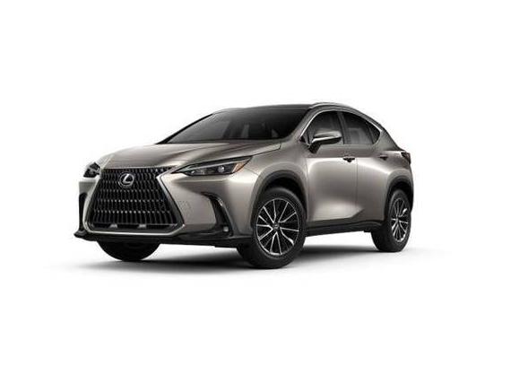 LEXUS NX 2025 JTJGKCEZ9S5037083 image