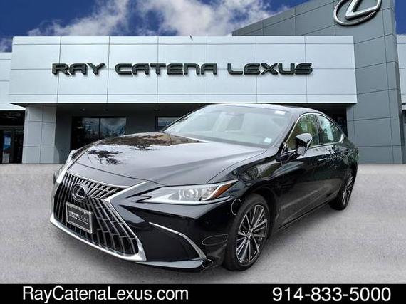 LEXUS ES 2023 58ADZ1B13PU155863 image LEXUS ES 2023 58ADZ1B13PU155863 image
