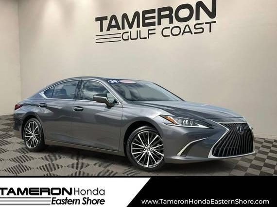 LEXUS ES 2024 58ADZ1B11RU179209 image LEXUS ES 2024 58ADZ1B11RU179209 image