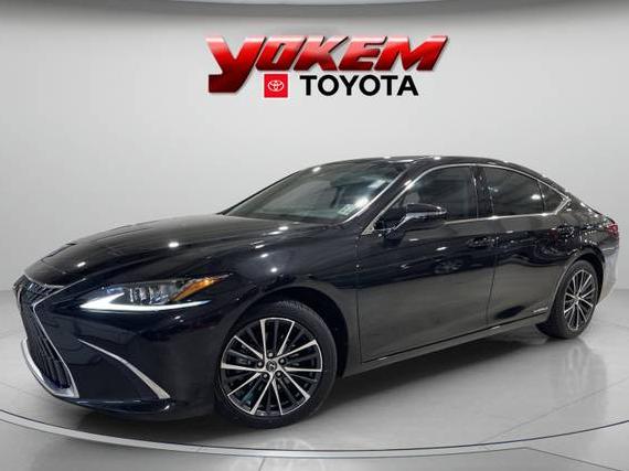 LEXUS ES 2022 58ADA1C12NU018951 image LEXUS ES 2022 58ADA1C12NU018951 image