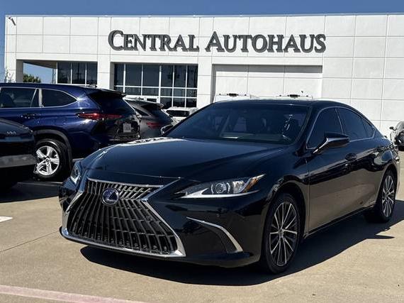 LEXUS ES 2022 58ADA1C12NU015676 image LEXUS ES 2022 58ADA1C12NU015676 image