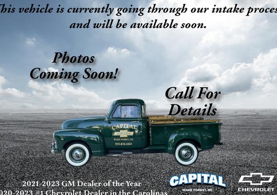 CHEVROLET EXPRESS 2019 1GB3GRCG6K1169219 image