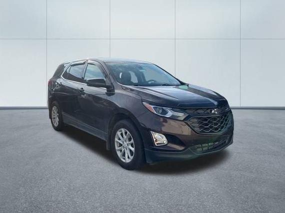 CHEVROLET EQUINOX 2020 2GNAXUEV4L6110127 image