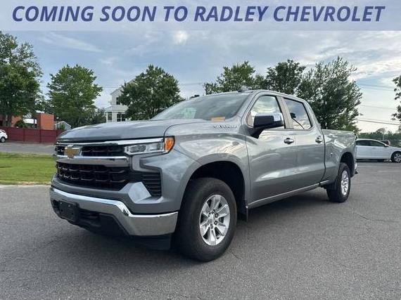 CHEVROLET SILVERADO 2023 3GCUDDED0PG347083 image