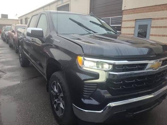 CHEVROLET SILVERADO 2023 1GCPDKEK6PZ191261 image