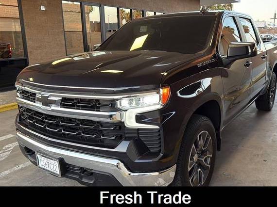 CHEVROLET SILVERADO 2023 2GCUDDED5P1136566 image