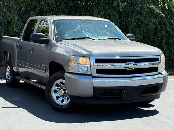 CHEVROLET SILVERADO 2008 3GCEC13C88G136568 image