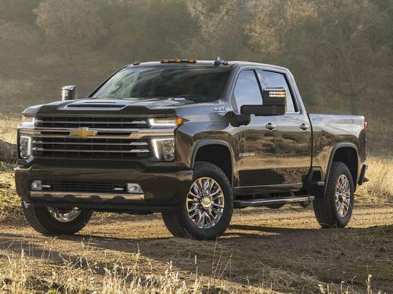 CHEVROLET SILVERADO 2021 1GC4YREY1MF185093 image